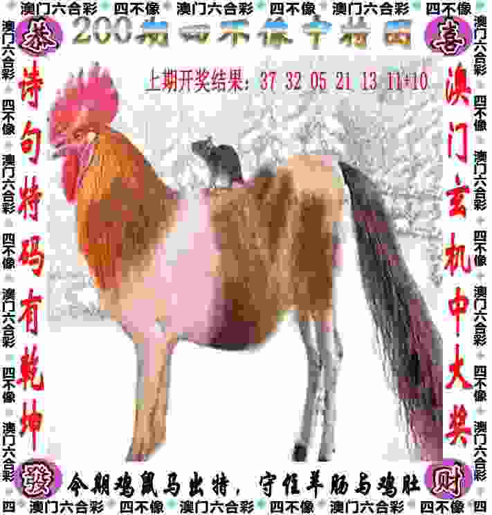 新奥彩4949最新版本更新内容TV版下载 -黄大仙三肖三码必中一期手游下载v4   .41   .143   -2278安卓网